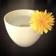 bonita24の画像