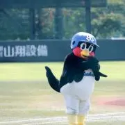 シゲの画像