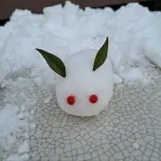 ザシキワラシの画像