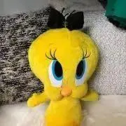 チュンリの画像