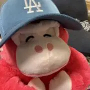 yyy