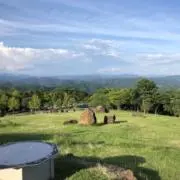 nagadai⭐︎の画像