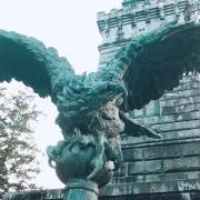 みっぴの画像
