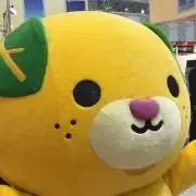 ぽんたの画像