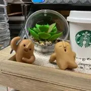 いろはの画像