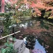 Cheryl(プロフ必読、即購入○)の画像