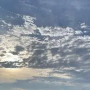 にいの画像