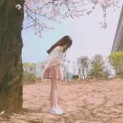 クーの画像