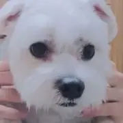 mnの画像