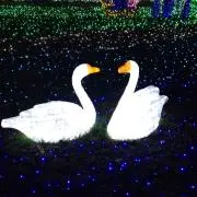 ぐいど