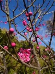 まみ☆(*^^*)♪同梱送料お得です♫の画像