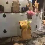 Mocaの画像