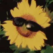 びっくりゔぁあー