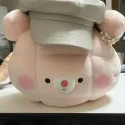 二葉さな もちころりん - メルカリ