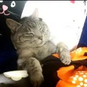 私やで