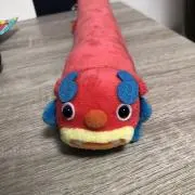 しぃさあ0525の画像
