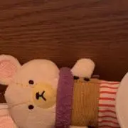 まーの画像