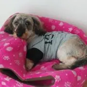 ムックの画像
