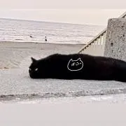 もの画像