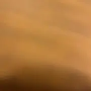おいこすの画像