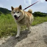まる