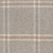 ⭐️の画像