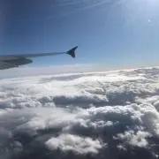 まちゃ
