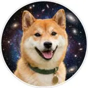 謎のハナの画像