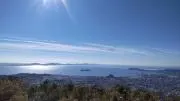リーフの画像