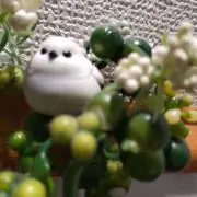 因幡の白うさぎ