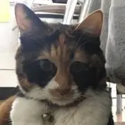 すずもみ