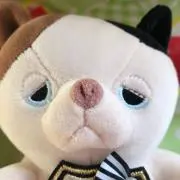 Katu-p