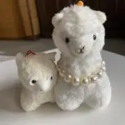 oba_momの画像