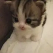 りおの画像