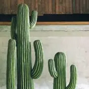 ここ