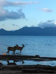 はる☆プロフ必読☆の画像