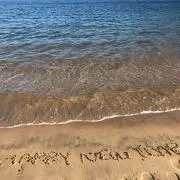 Sicaの画像