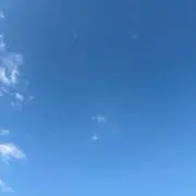 Shironekoの画像