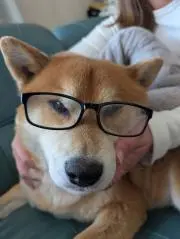 値下げ！【埼玉北部群馬南部引き取り限定】CASIO 電子ピアノ 88鍵