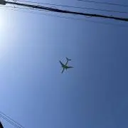 ナッツの画像