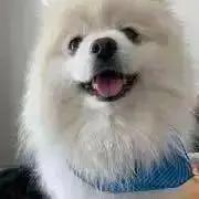 ひめぽ即購入OK☆の画像