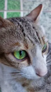 1227の画像