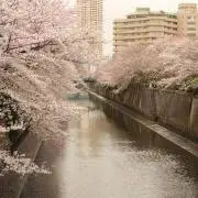 たかの/お値下げ・無言取引OKの画像