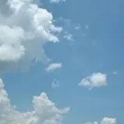 いちの画像
