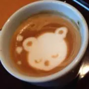 せみの画像