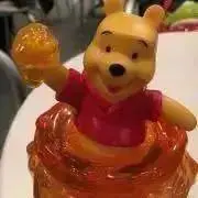 かわせみの画像
