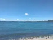 蒼の画像