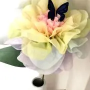 tmimtmの画像
