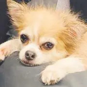 Ｍokaの画像