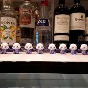 あいちゃんの画像